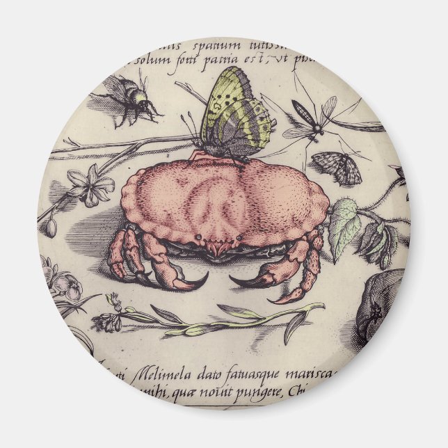Crab Botanical Insect Flower Illustration Magnet (Front)