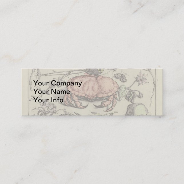 Crab Botanical Insect Flower Illustration Mini Business Card (Front)