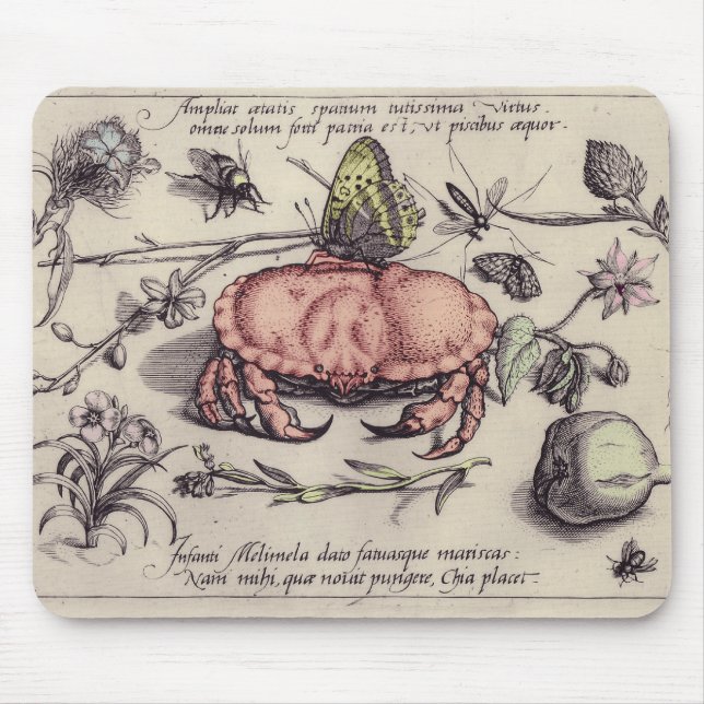 Crab Botanical Insect Flower Illustration Mouse Pad (Front)