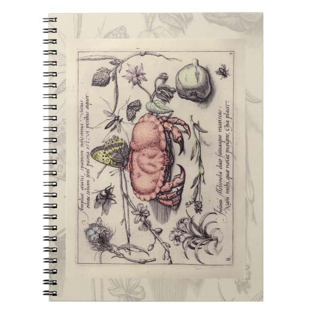 Crab Botanical Insect Flower Illustration Notebook (Front)