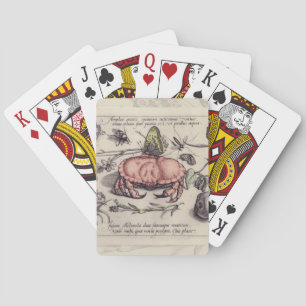 Crab Botanical Insect Flower Illustration Playing Cards