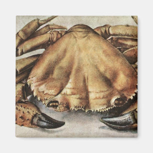 Crab (Creature Under the Sea) (by Albrecht Durer) Magnet