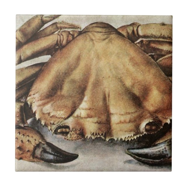 Crab (Creature Under the Sea) (by Albrecht Durer) Tile (Front)