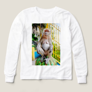 Crab-eating macaque