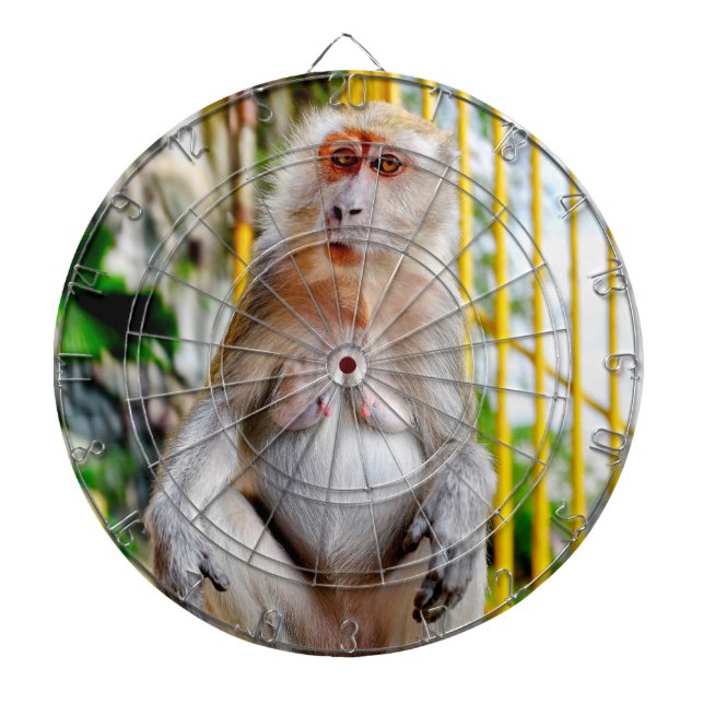 Crab-eating macaque dartboard (Front)