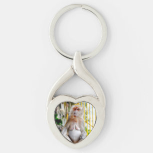 Crab-eating macaque key ring