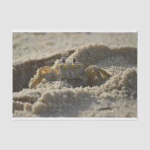 Crab in the Sand Decoupage Tissue Paper