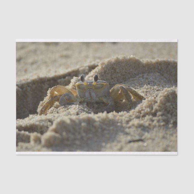 Crab in the Sand Decoupage Tissue Paper (Front)