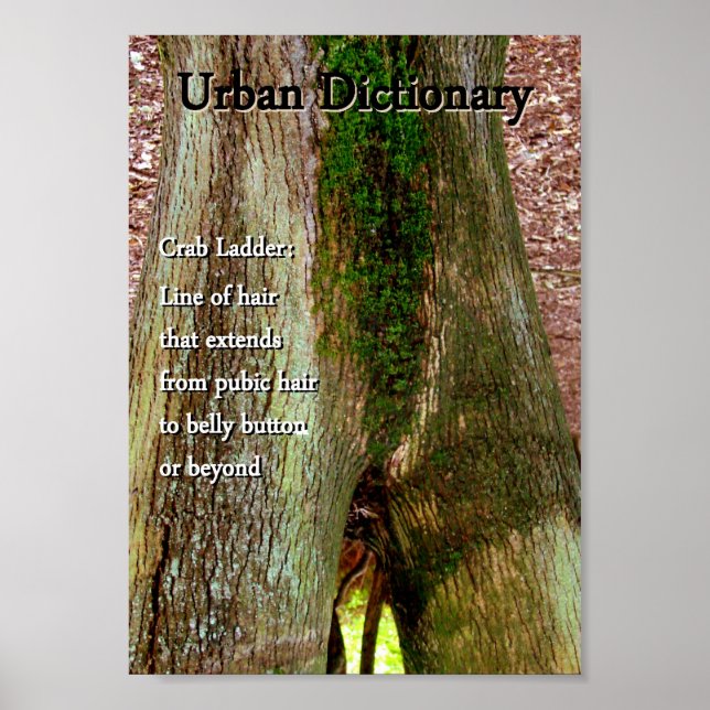 Crab Ladder Poster (Front)