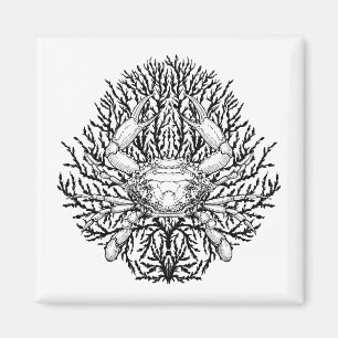 Crab Magnet