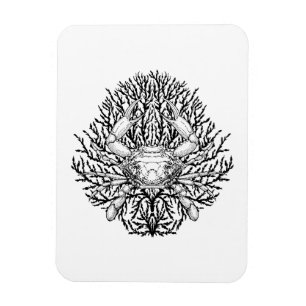 Crab Magnet