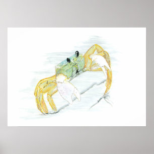 Crab on the Beach Poster