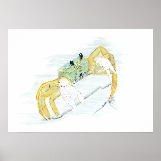 Crab on the Beach Poster (Front)