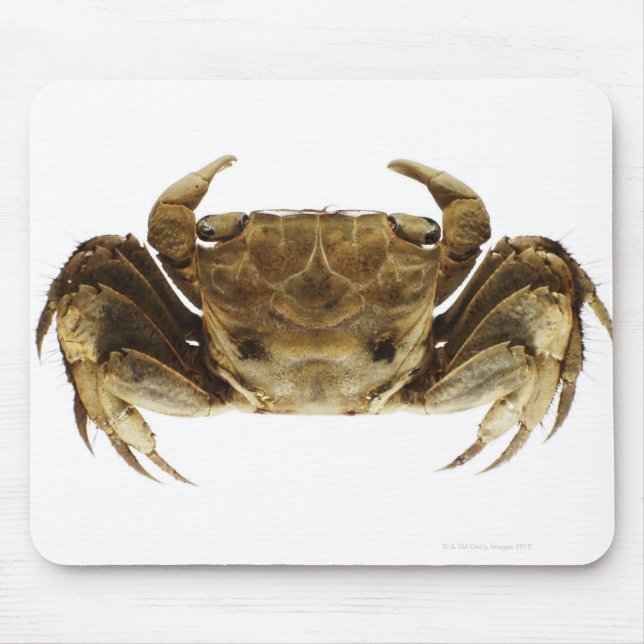 Crab on white background mouse pad (Front)