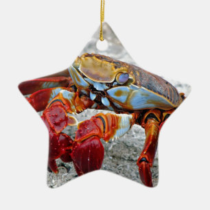 Crab photo ceramic tree decoration