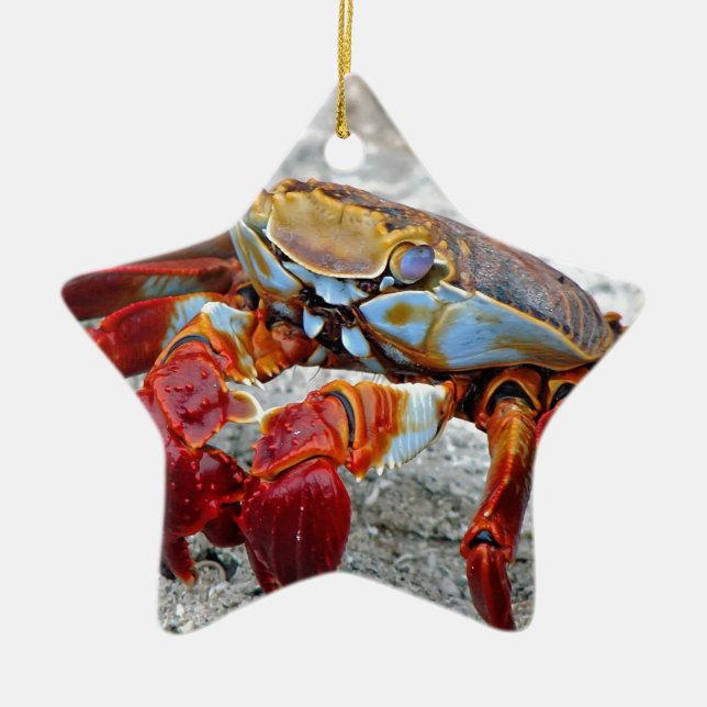 Crab photo ceramic tree decoration (Front)