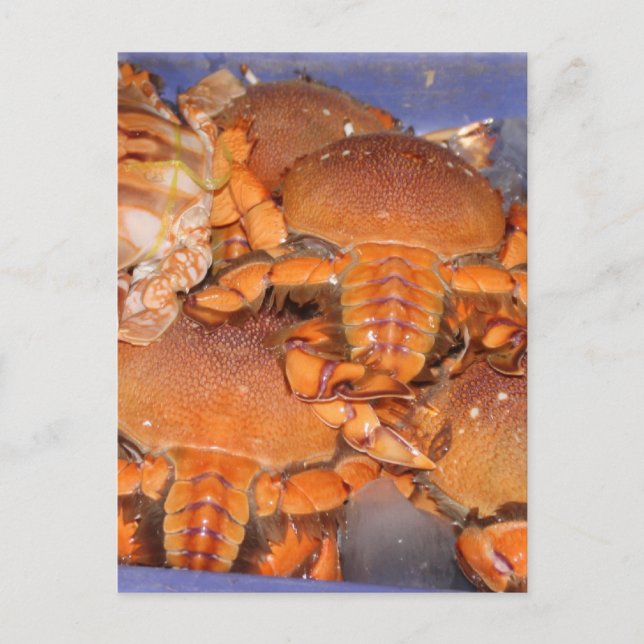 Crab Postcard (Front)
