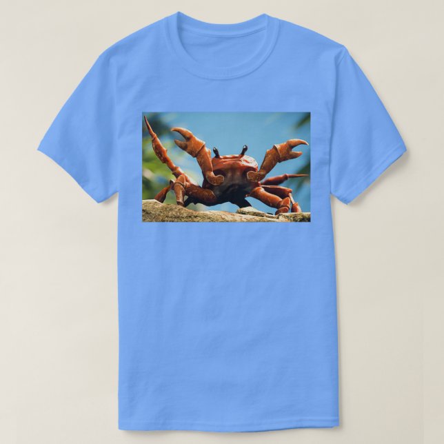 Crab Rave  T-Shirt (Design Front)