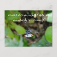 Crab Spider Postcard / Funny Ninja Quote