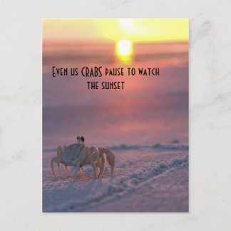 Crab watching the sunset postcard