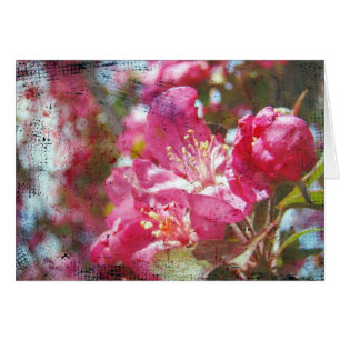 Crabapple Blossoms