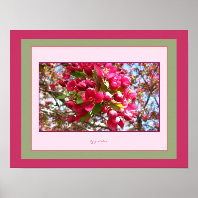 Crabapple Blossoms 2 Photo Poster by gretchen (Front)