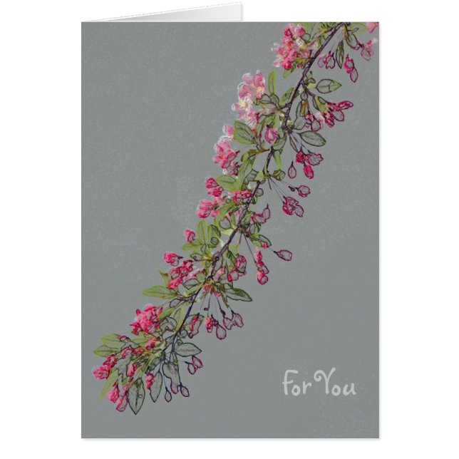 Crabapple Blossoms from Central Park (Front)