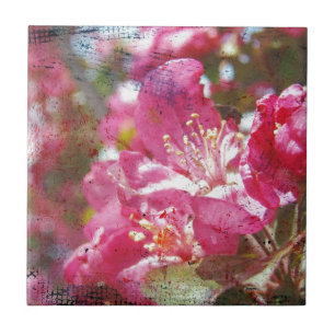 Crabapple Blossoms Tile