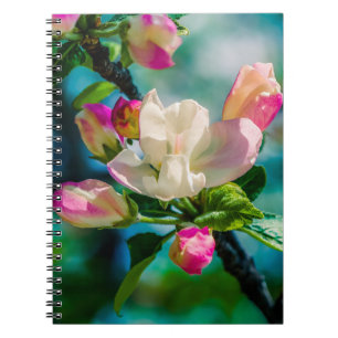 Crabapple flower and buds notebook