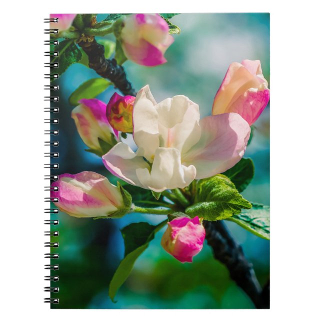 Crabapple flower and buds notebook (Front)