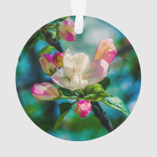 Crabapple flower and buds ornament