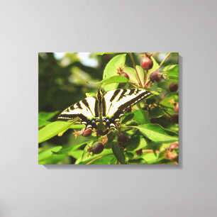 Crabapples and Butterfly Canvas Print