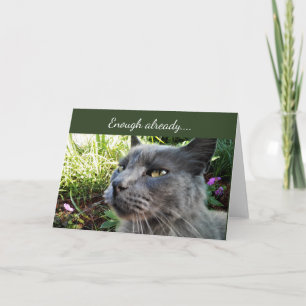 Crabby Cat with Funny Expression Note Card