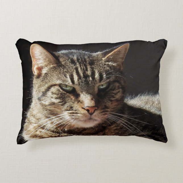 Crabby Tabby Cat Decorative Cushion (Front)