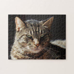 Crabby Tabby Cat Jigsaw Puzzle