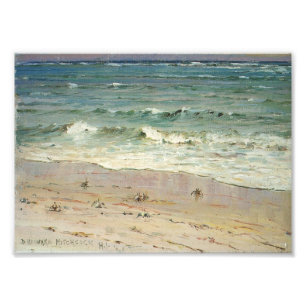 Crabs on the Beach by D. Howard Hitchcock Photo Print