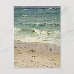 Crabs on the Beach by D. Howard Hitchcock Postcard