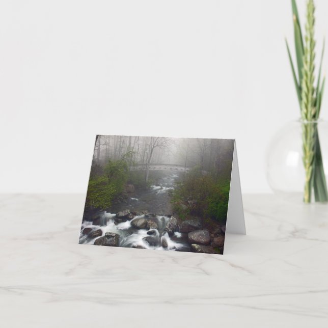 crabtreefalls bridge card (Front)