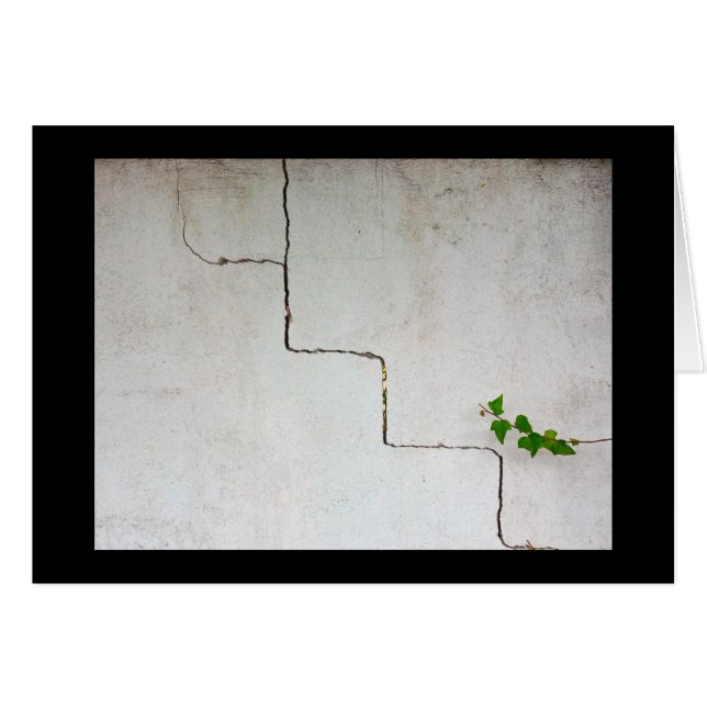 Cracked (Front Horizontal)