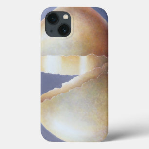 Cracked Bronze Age Egg iPhone 13 Case