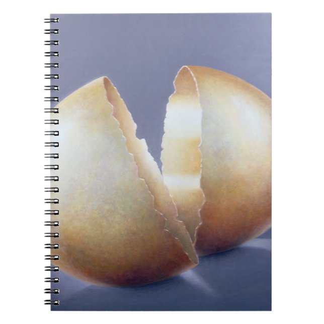 Cracked Bronze Age Egg Spiral Notebook (Front)