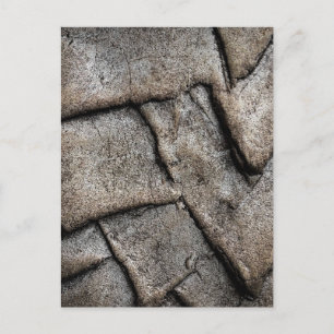 Cracked Concrete Texture Close Up Postcard