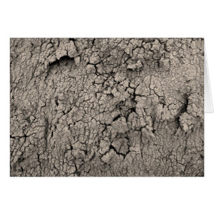 Cracked Earth Cool Texture