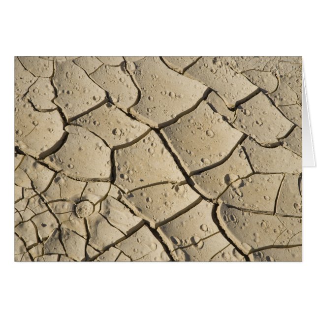 Cracked Mud formation in the Valley floor of 2 (Front Horizontal)