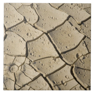 Cracked Mud formation in the Valley floor of 2 Tile