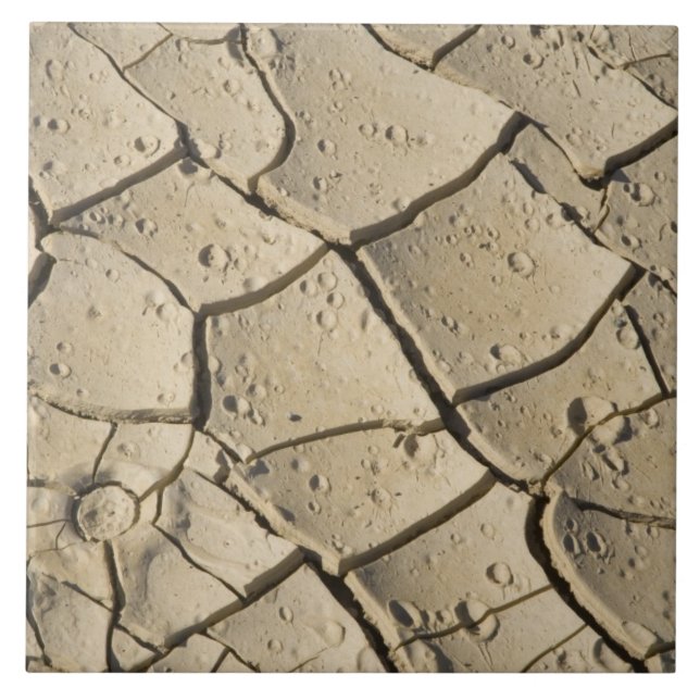 Cracked Mud formation in the Valley floor of 2 Tile (Front)