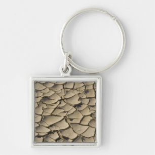 Cracked Mud formation in the Valley floor of Key Ring