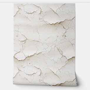 Cracked Painted Textured Wall