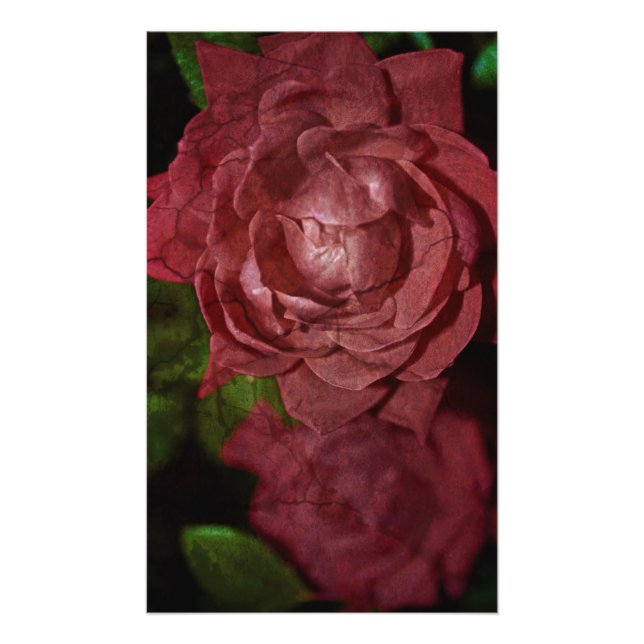 Cracked Red Rose Photo Print (Front)