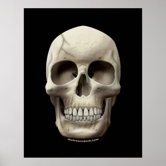 Cracked Skull Poster (Front)
